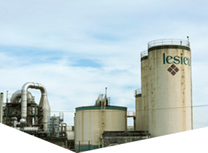 cc攻击免费网页版